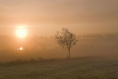 Sunrise with mist over the countryside