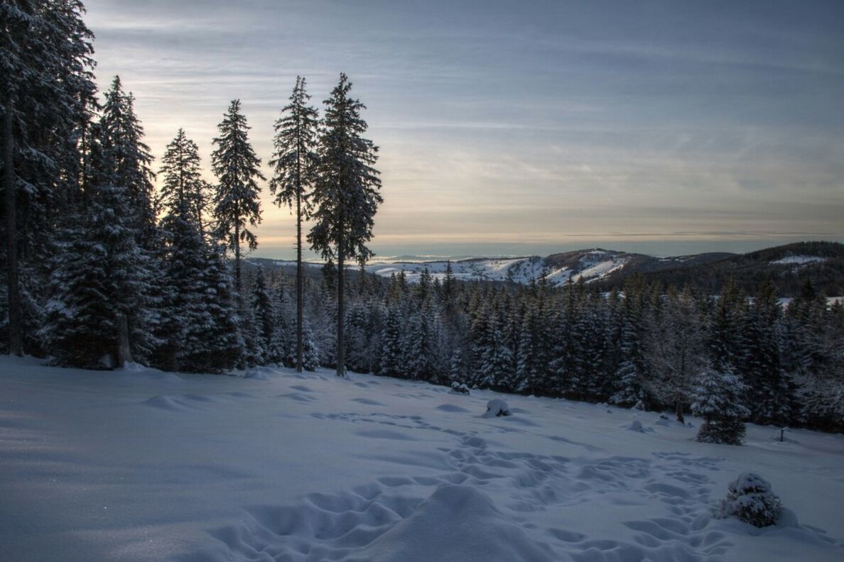 Hochschwarzwald