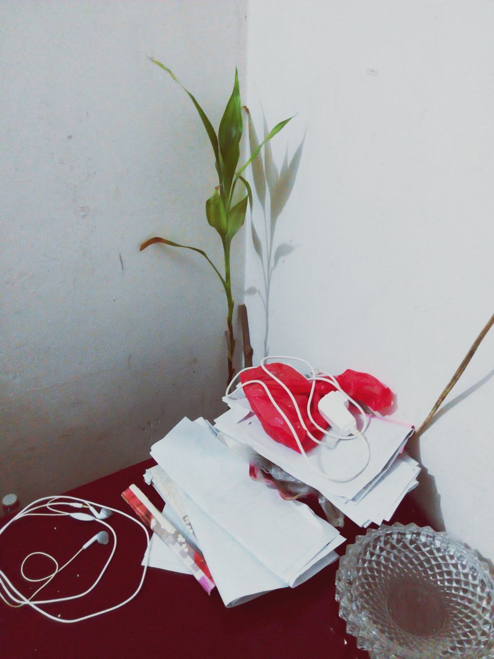 indoors, stem, close-up, flower, shoe, decoration, selective focus, bunch of flowers, person, red, bunch