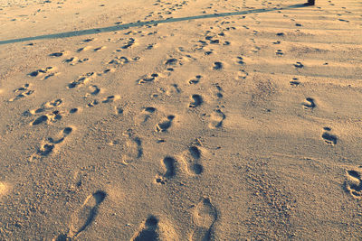 Foot prints along the beach 