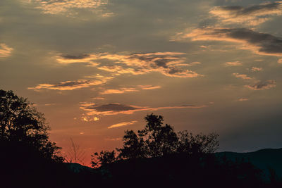 Low angle view of silhouette trees against dramatic sky