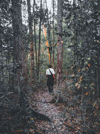 Rear view of man walking in forest