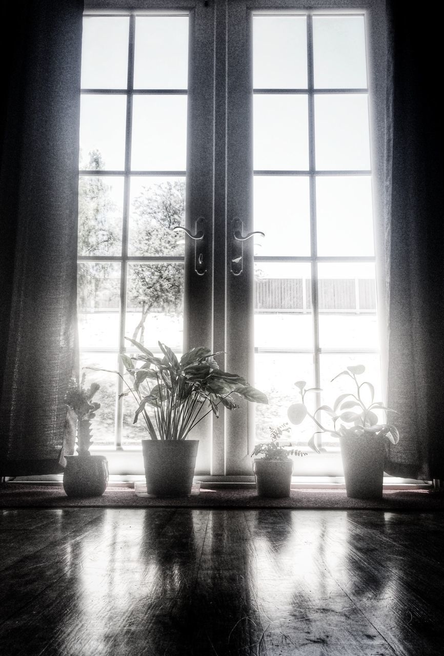 indoors, window, home interior, glass - material, transparent, window sill, table, potted plant, vase, absence, chair, curtain, no people, plant, day, glass, still life, sunlight, reflection, house