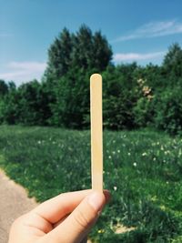 Cropped hand holding stick against trees