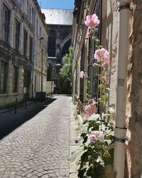 View of street amidst buildings