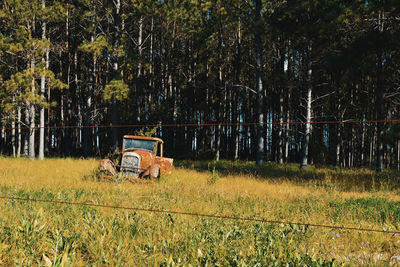 Abandoned car on field