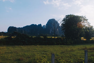 Scenic view of field against sky