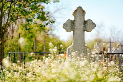 Cross in  cemetery in spring