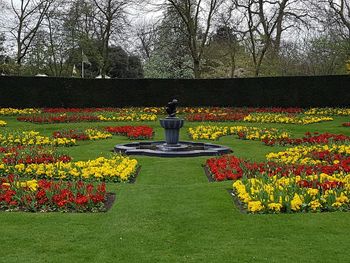 View of fountain in garden