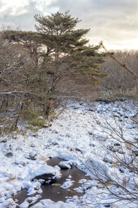 Scenic view of snow covered land against sky