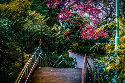 Trees by railing