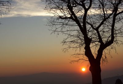 Silhouette tree against sky during sunset