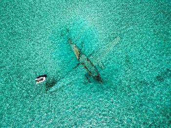 Aerial view of boat in sea