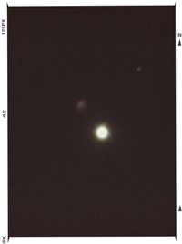 Low angle view of trees at night