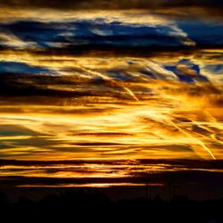 Silhouette of trees against dramatic sky