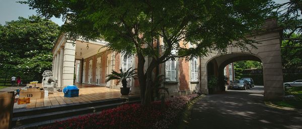 Buildings along trees