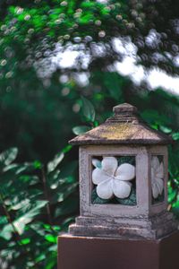 Close-up of birdhouse on tree