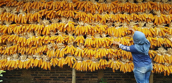 Rear view of woman holding sweetcorns for sale 