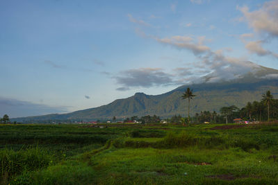 mountain