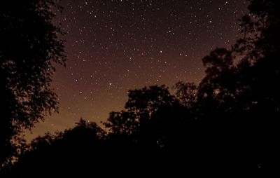 Low angle view of silhouette trees against sky at night