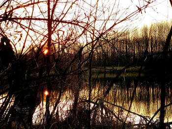 Sunset over lake