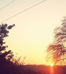 Silhouette of trees at sunset