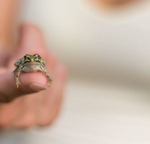 Close-up of human hand