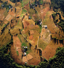 Aerial view of field