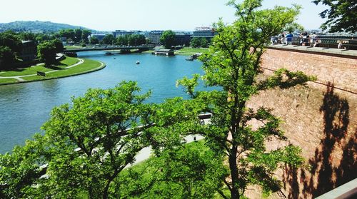 River with trees in background