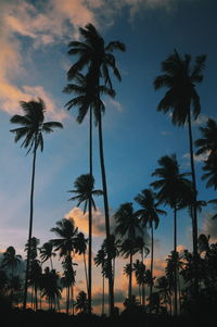 Silhouette palm trees against sky at sunset