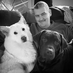 Portrait of mature man sitting by dogs at home