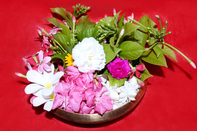 High angle view of flowering plant