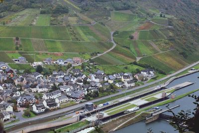 High angle view of agricultural field