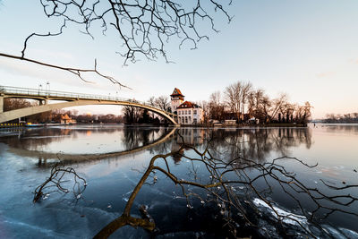 Reflection of bare trees on river during winter