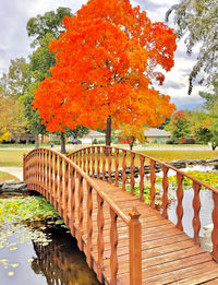 Footbridge over lake in park during autumn