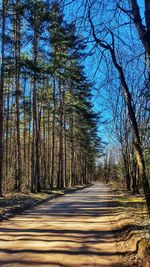 Empty road amidst trees in forest against sky