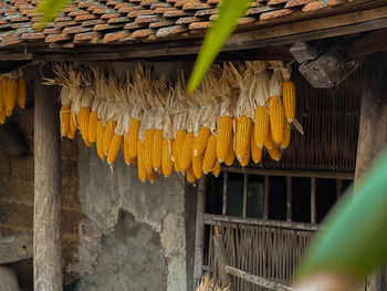 Wooden gate