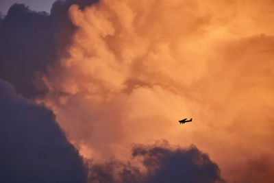 Low angle view of airplane flying in sky