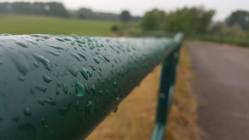 Close-up of wet leaf against sky