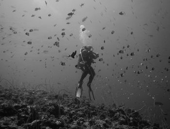 Low angle view of person in sea