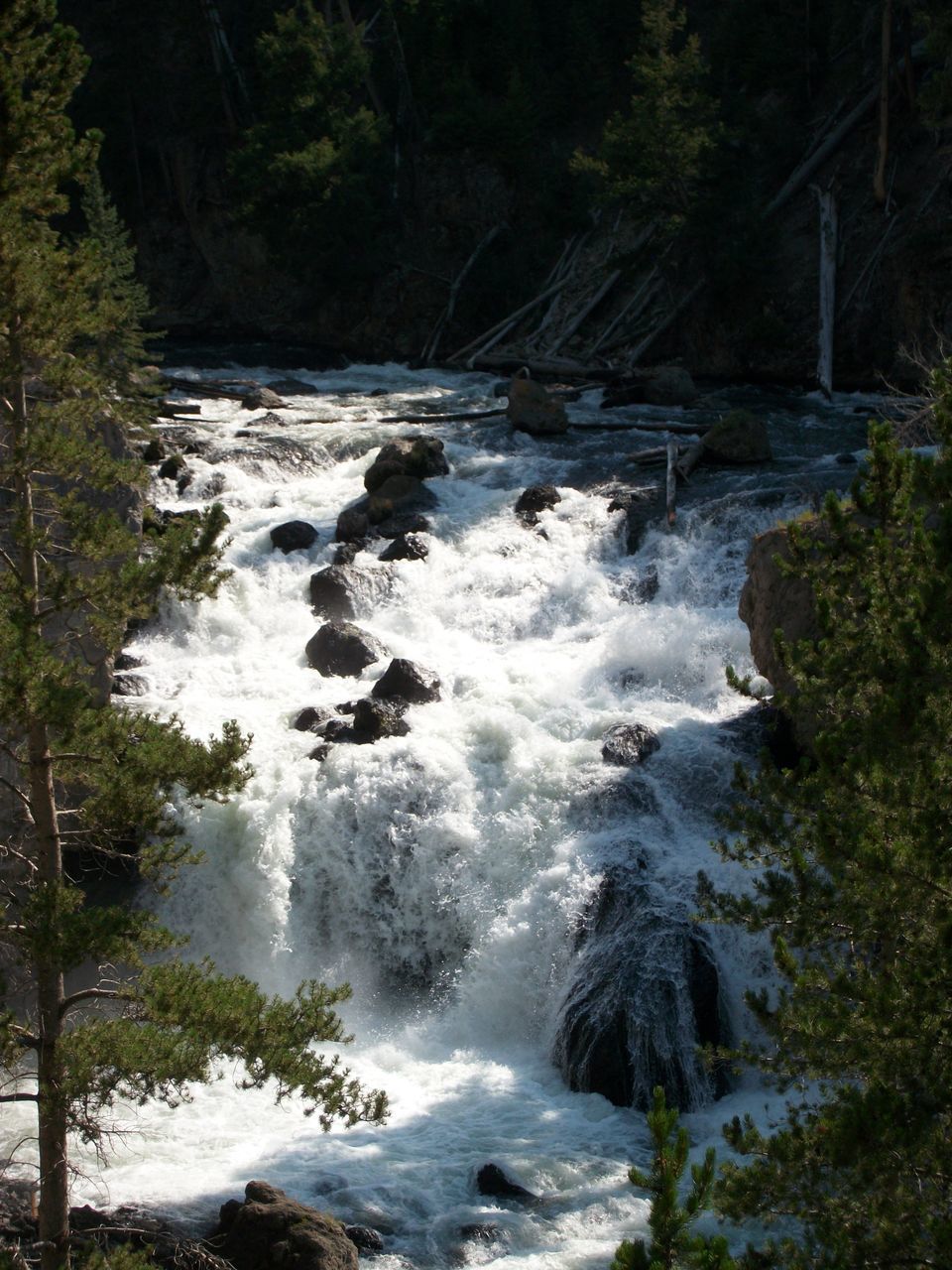 WATERFALL IN FOREST