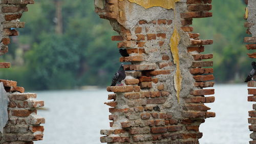 Close-up of rusty metal structure