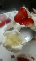 Close-up of dessert in plate