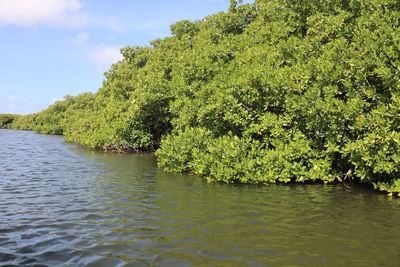 Scenic view of river against sky