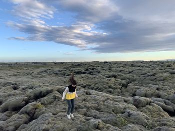 Iceland fields 