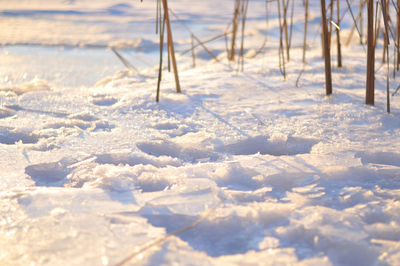 Close-up of snow on field during winter