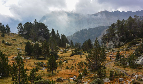 Panoramic view of trees and mountains against sky