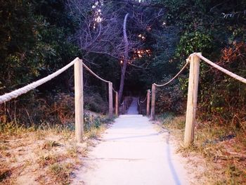 Walkway amidst trees