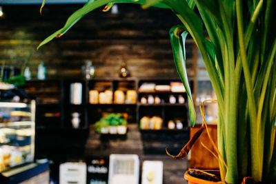 Close-up of bread in store