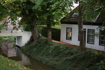 House by trees and plants